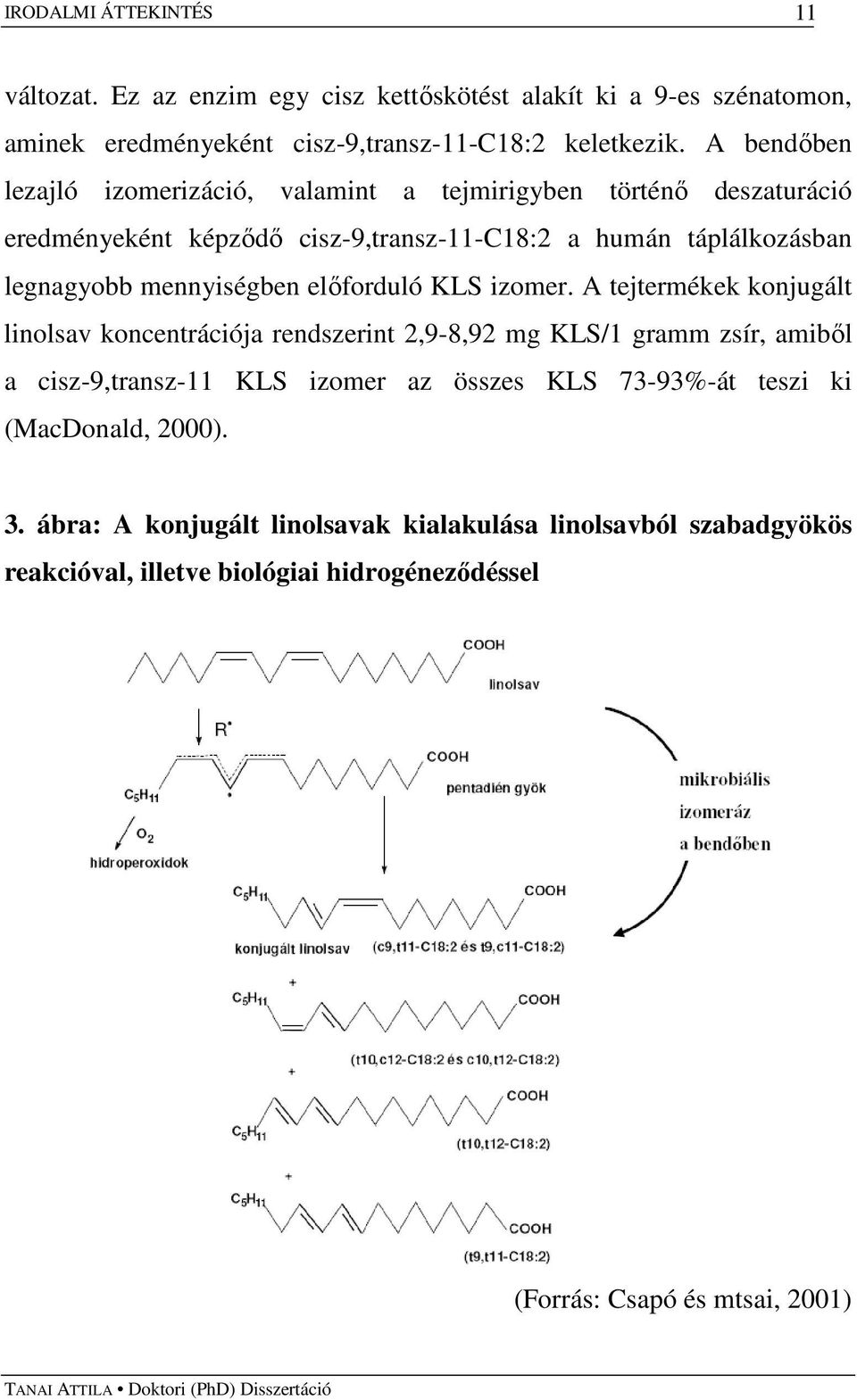 mennyiségben elıforduló KLS izomer.