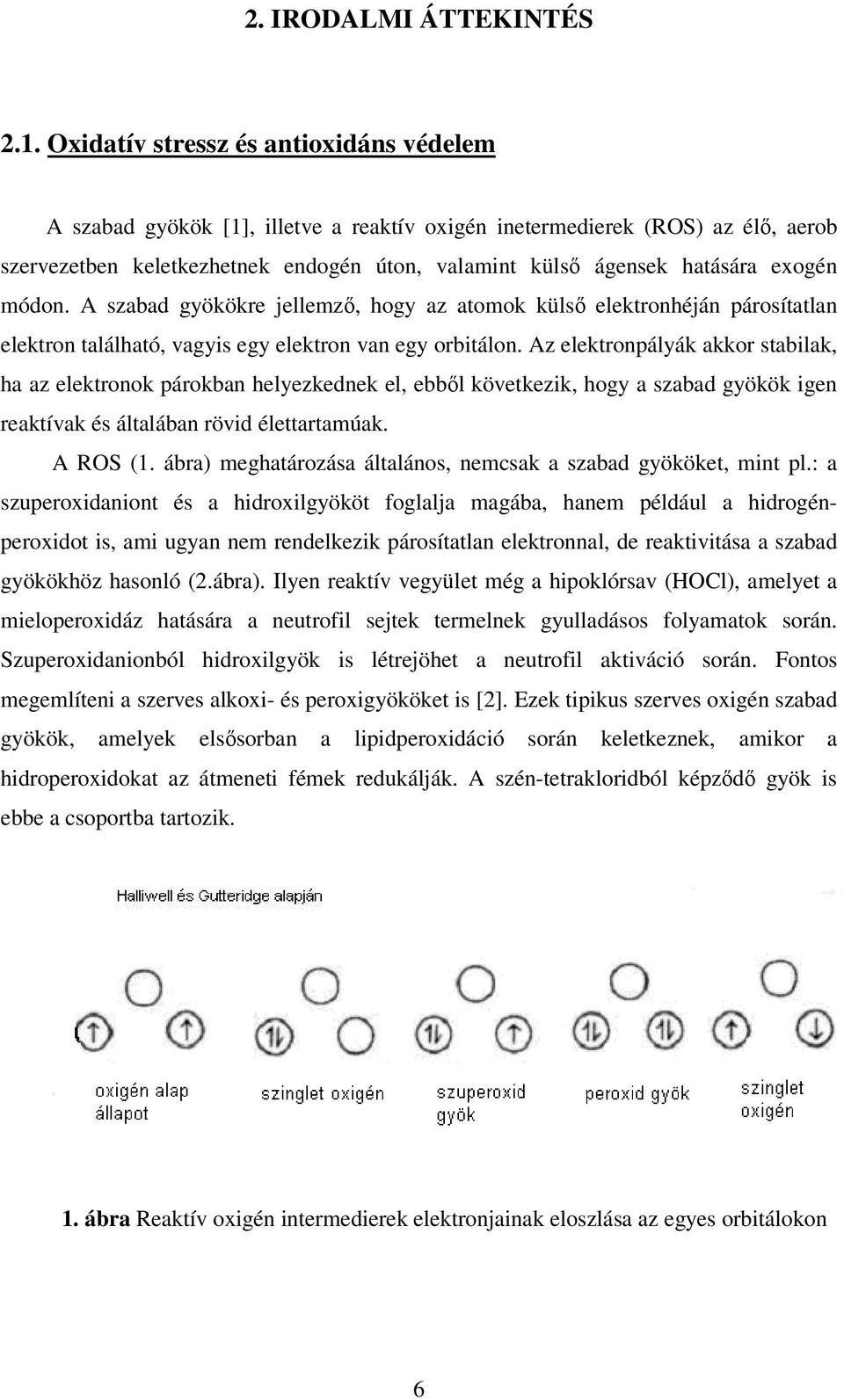 exogén módon. A szabad gyökökre jellemző, hogy az atomok külső elektronhéján párosítatlan elektron található, vagyis egy elektron van egy orbitálon.