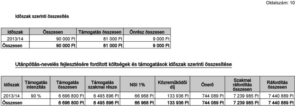 1% Közreműködői díj Önerő Szakmai ráfordítás Ráfordítás 90 % 6 696 800 Ft 6 495 896 Ft 66 968 Ft 133 936 Ft