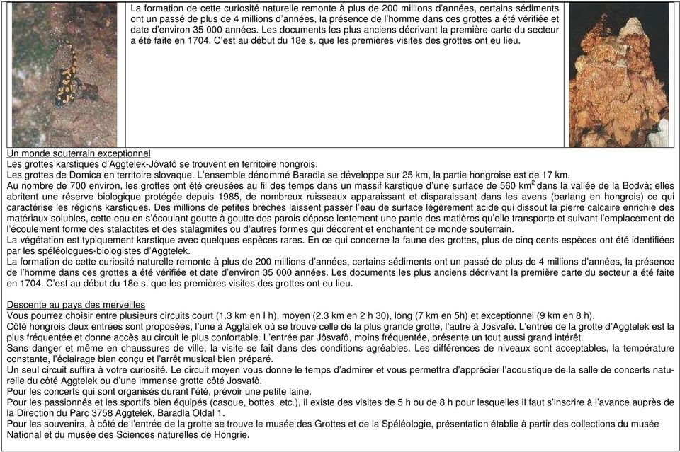 que les premières visites des grottes ont eu lieu. Un monde souterrain exceptionnel Les grottes karstiques d Aggtelek-Jôvafô se trouvent en territoire hongrois.