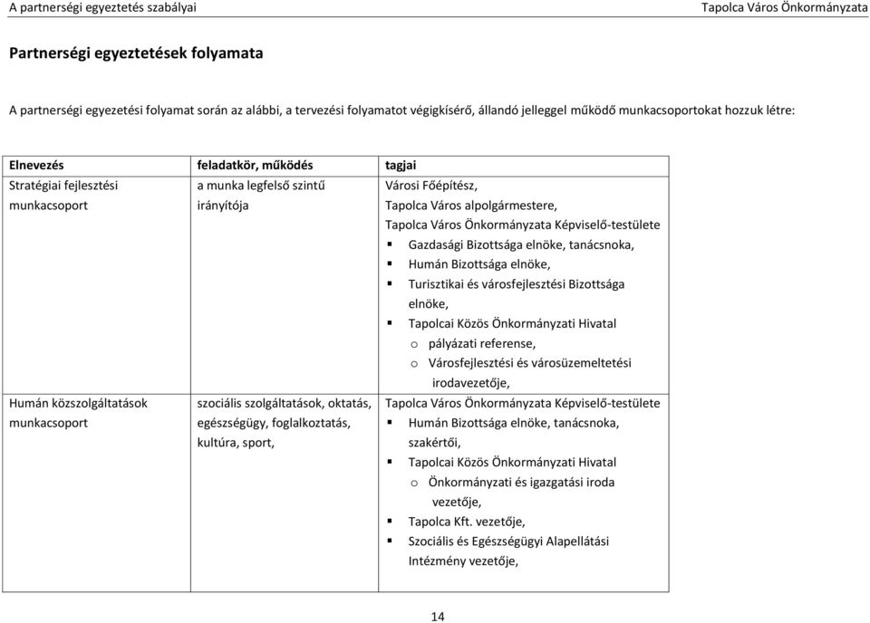 Humán Bizottsága elnöke, Turisztikai és városfejlesztési Bizottsága elnöke, Tapolcai Közös Önkormányzati Hivatal o pályázati referense, o Városfejlesztési és városüzemeltetési irodavezetője, Humán