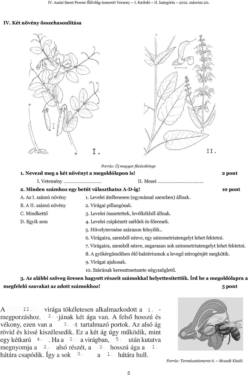 Levelei csipkézett szélűek és főeresek. 5. Hüvelytermése szárazon felnyílik.. 6. Virágaira, szemből nézve, egy szimmetriatengelyt lehet fektetni. 7.