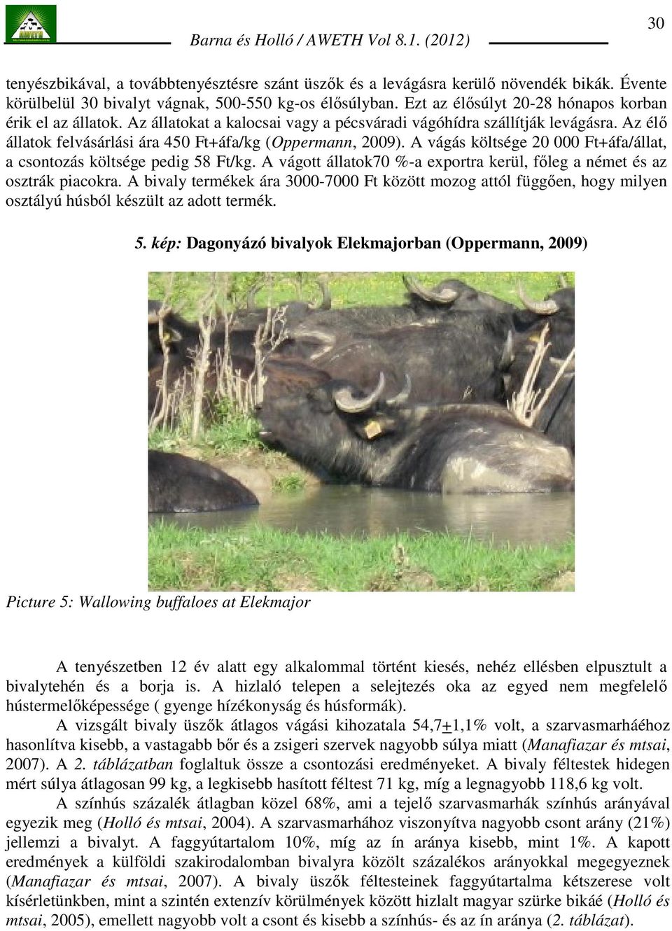 A vágás költsége 20 000 Ft+áfa/állat, a csontozás költsége pedig 58 Ft/kg. A vágott állatok70 %-a exportra kerül, fıleg a német és az osztrák piacokra.