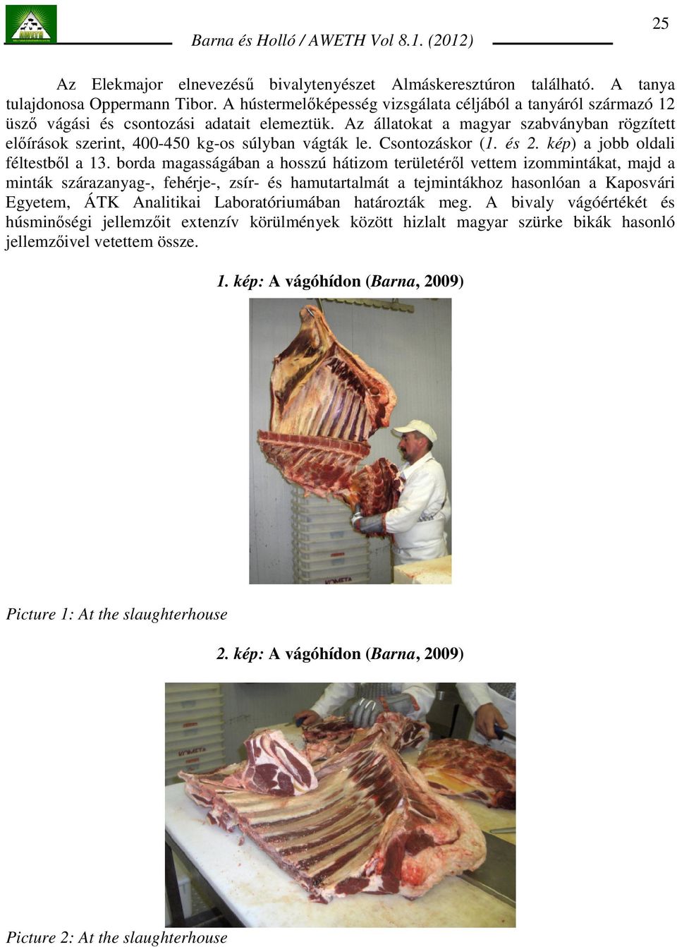 Az állatokat a magyar szabványban rögzített elıírások szerint, 400-450 kg-os súlyban vágták le. Csontozáskor (1. és 2. kép) a jobb oldali féltestbıl a 13.