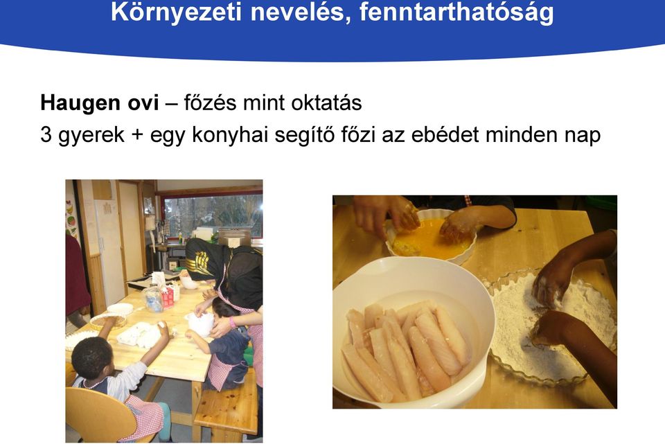 egy konyhai segítő