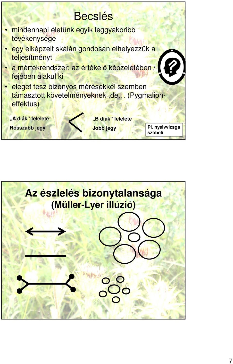 mérésekkel szemben támasztott követelményeknek,de (Pygmalioneffektus) A diák felelete Rosszabb jegy