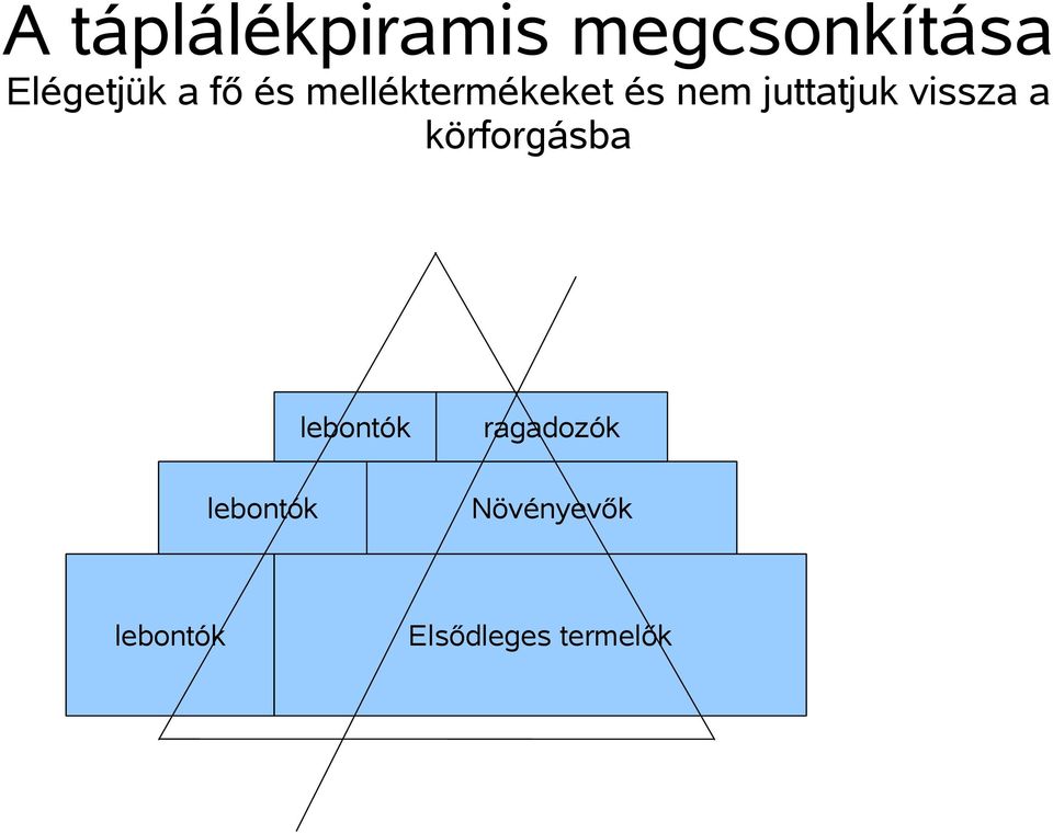 vissza a körforgásba lebontók lebontók