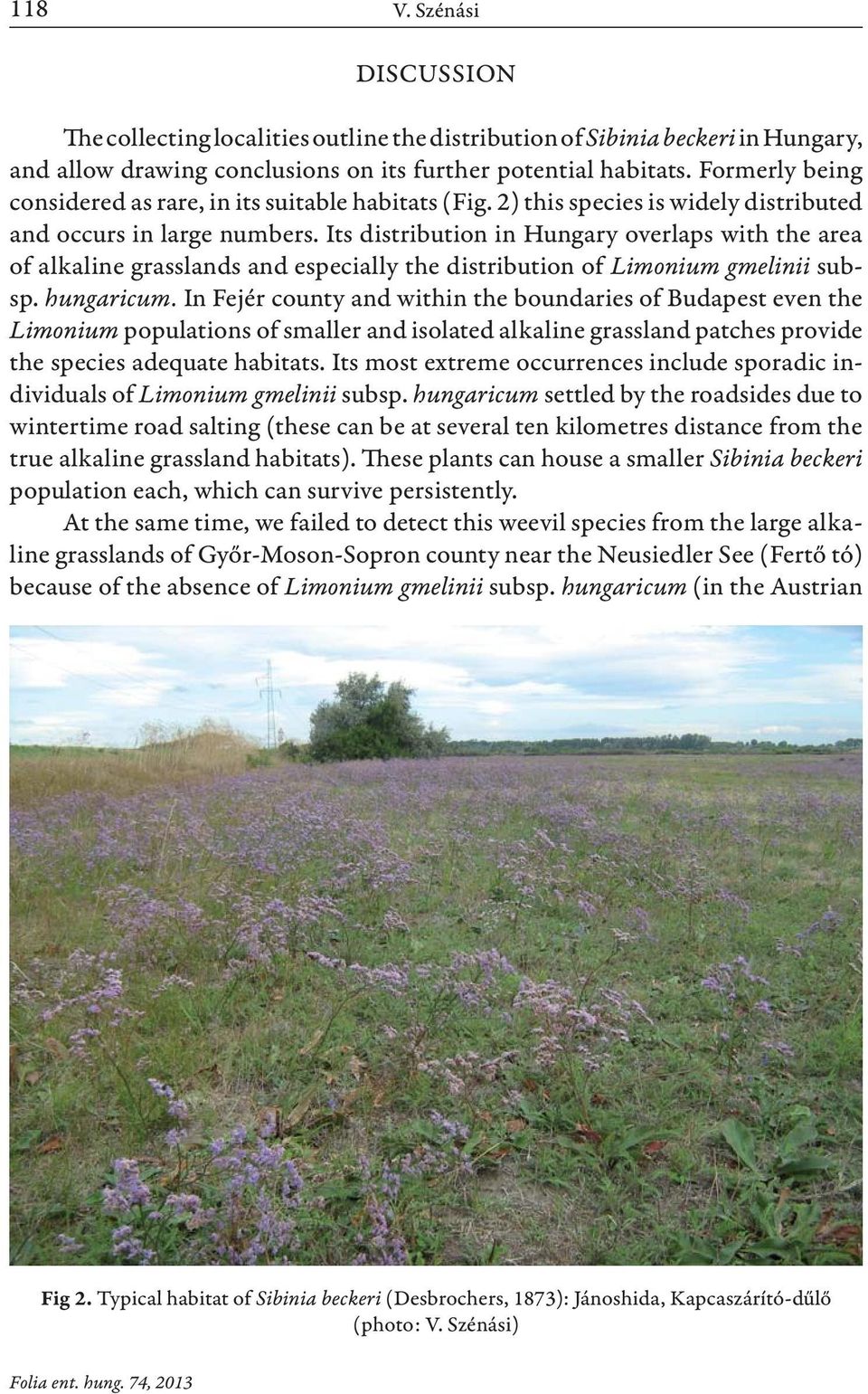 Its distribution in Hungary overlaps with the area of alkaline grasslands and especially the distribution of Limonium gmelinii subsp. hungaricum.