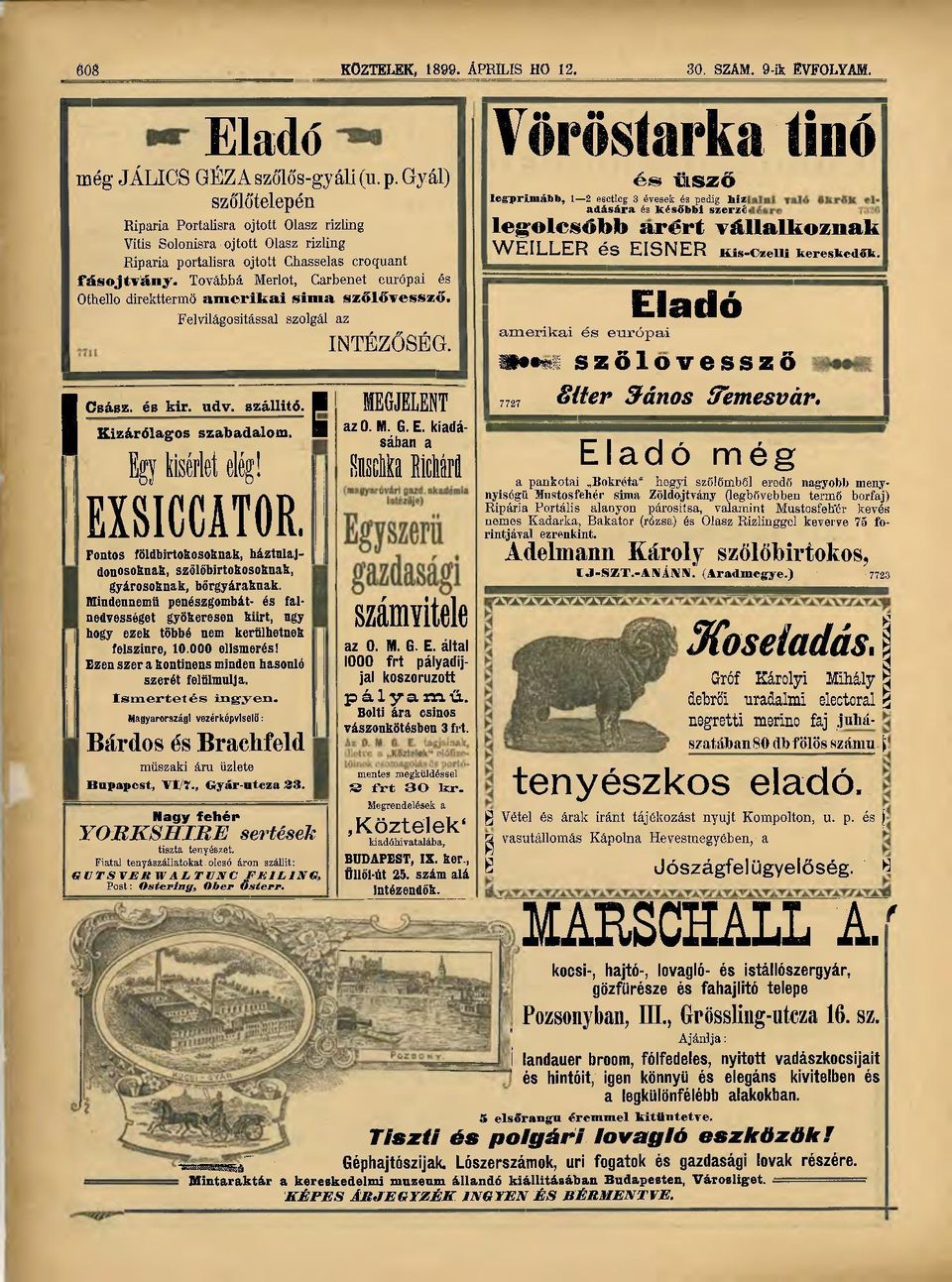 Továbbá Merlot, Carbenet európai és Othello direkttermö amerikai sima szőlővessző. Felvilágosítással szolgál az INTÉZŐSÉG. ICsász. és kir. udv. szállitó, ji Kizárólagos szabadalom.