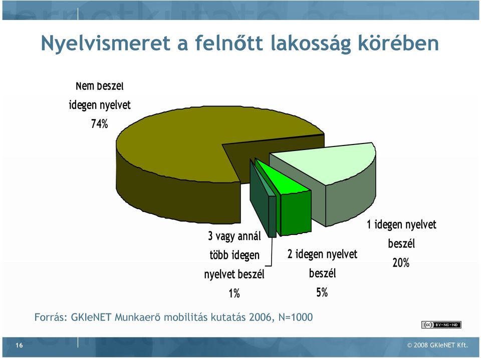 idegen nyelvet beszél 5% 1 idegen nyelvet beszél 20% Forrás: