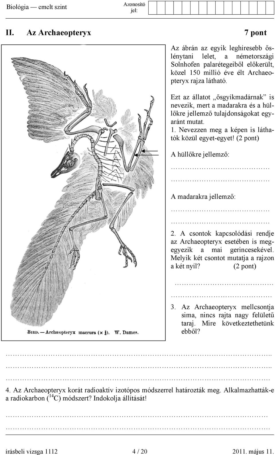 (2 pont) A hüllőkre jellemző: A madarakra jellemző: 2. A csontok kapcsolódási rendje az Archaeopteryx esetében is megegyezik a mai gerincesekével. Melyik két csontot mutatja a rajzon a két nyíl?