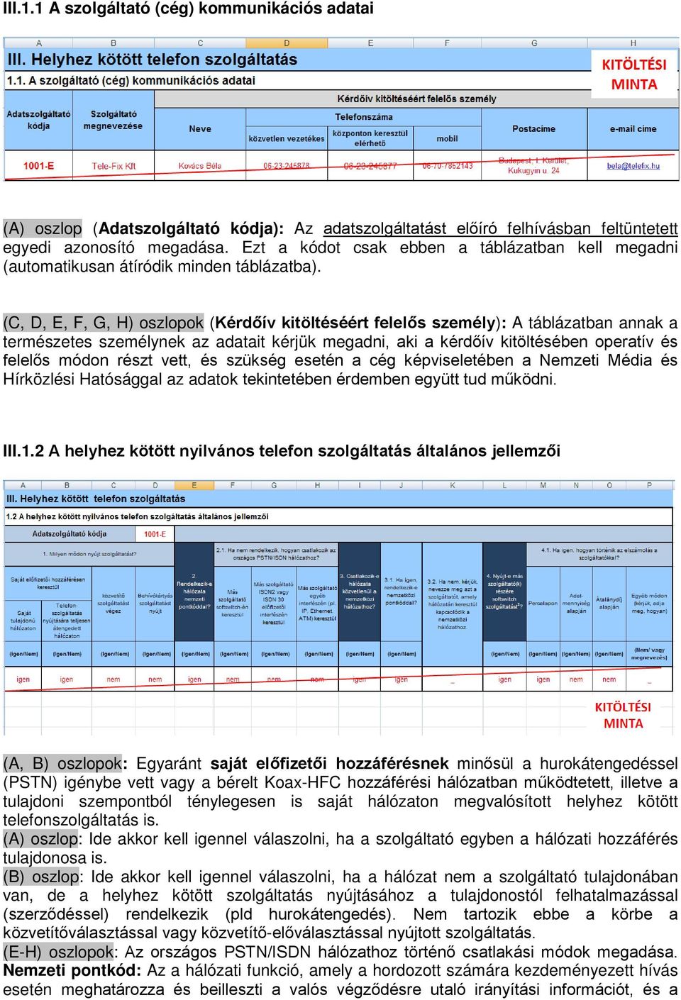 (C, D, E, F, G, H) oszlopok (Kérdőív kitöltéséért felelős személy): A táblázatban annak a természetes személynek az adatait kérjük megadni, aki a kérdőív kitöltésében operatív és felelős módon részt