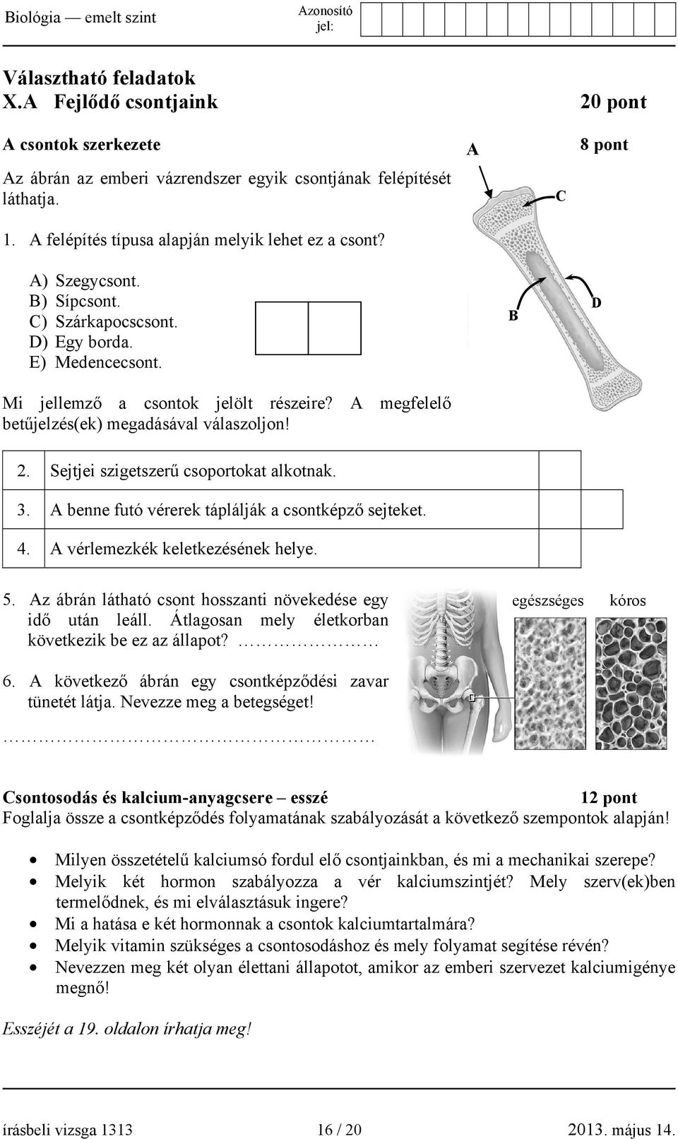 Sejtjei szigetszerű csoportokat alkotnak. 3. A benne futó vérerek táplálják a csontképző sejteket. 4. A vérlemezkék keletkezésének helye. 5.