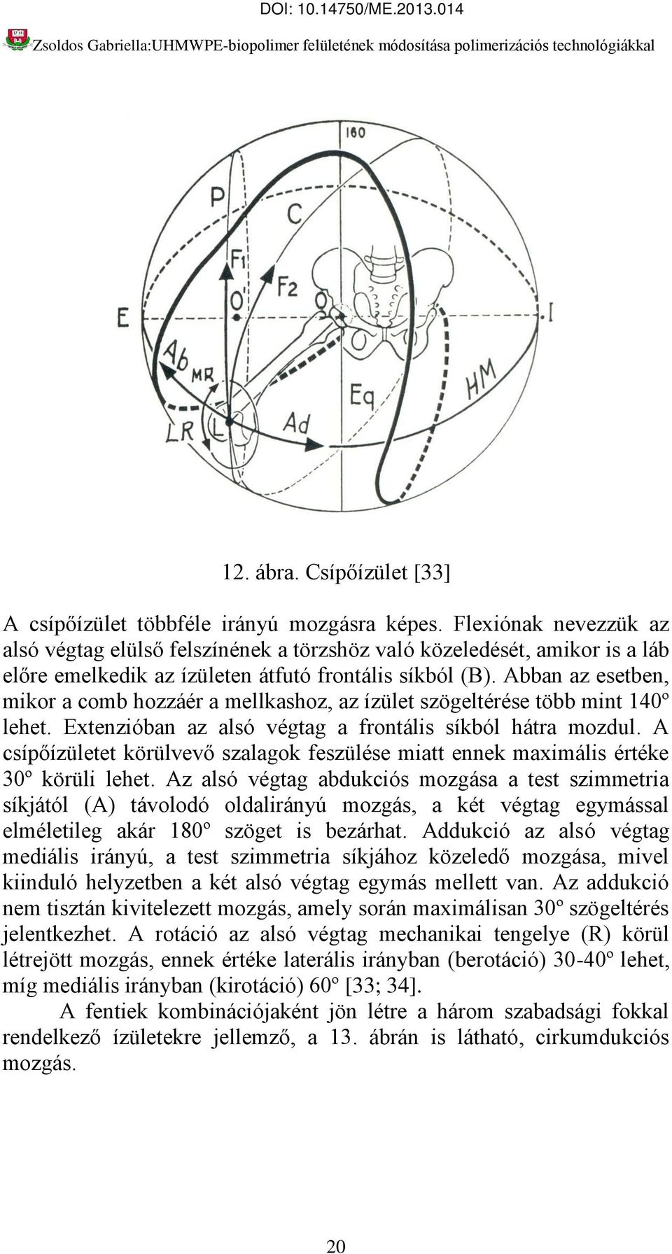 Abban az esetben, mikor a comb hozzáér a mellkashoz, az ízület szögeltérése több mint 140º lehet. Extenzióban az alsó végtag a frontális síkból hátra mozdul.