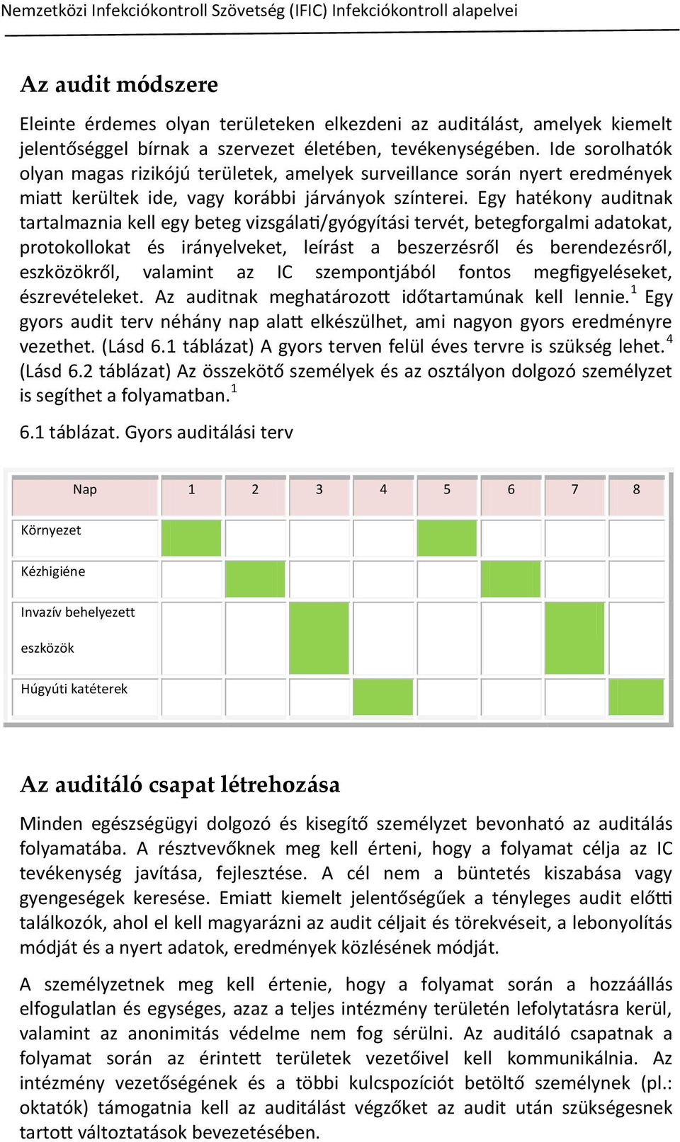 Egy hatékony auditnak tartalmaznia kell egy beteg vizsgálati/gyógyítási tervét, betegforgalmi adatokat, protokollokat és irányelveket, leírást a beszerzésről és berendezésről, eszközökről, valamint