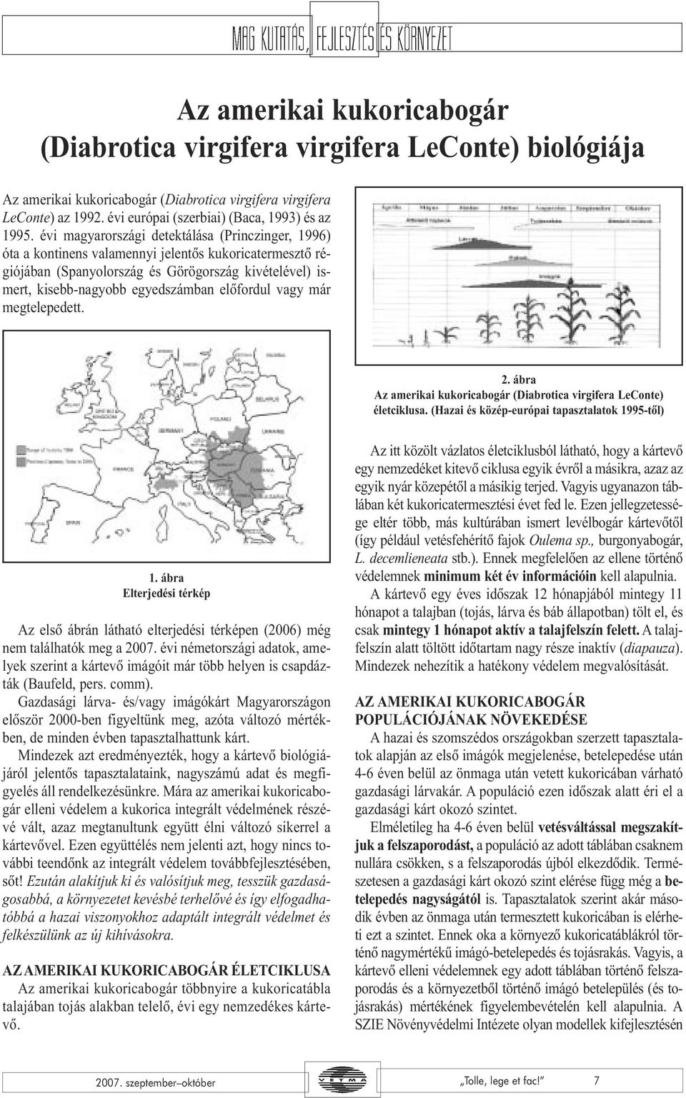 évi magyarországi detektálása (Princzinger, 1996) óta a kontinens valamennyi jelentõs kukoricatermesztõ régiójában (Spanyolország és Görögország kivételével) ismert, kisebb-nagyobb egyedszámban