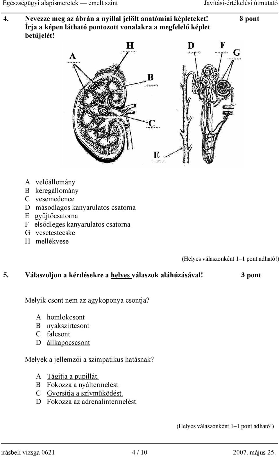 Válaszoljon a kérdésekre a helyes válaszok aláhúzásával! 3 pont Melyik csont nem az agykoponya csontja?