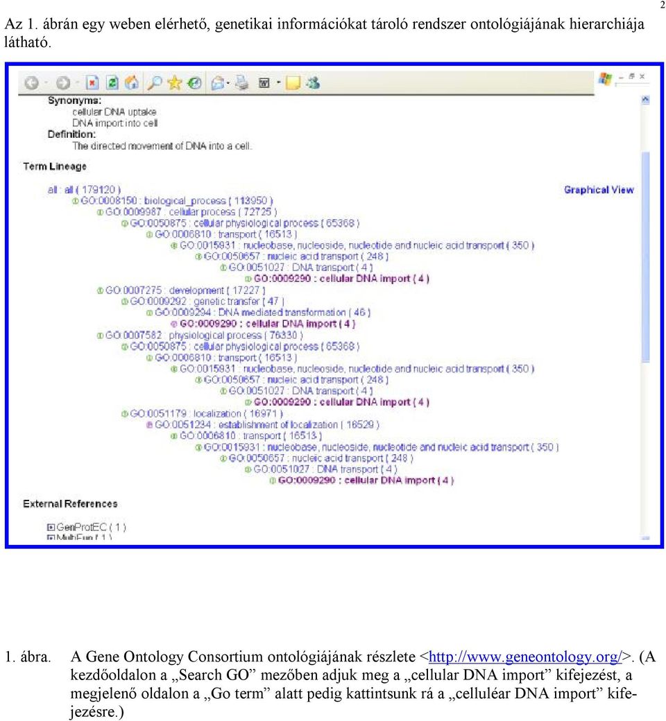 A Gene Ontology Consortium ontológiájának részlete <http://www.geneontology.org/>.