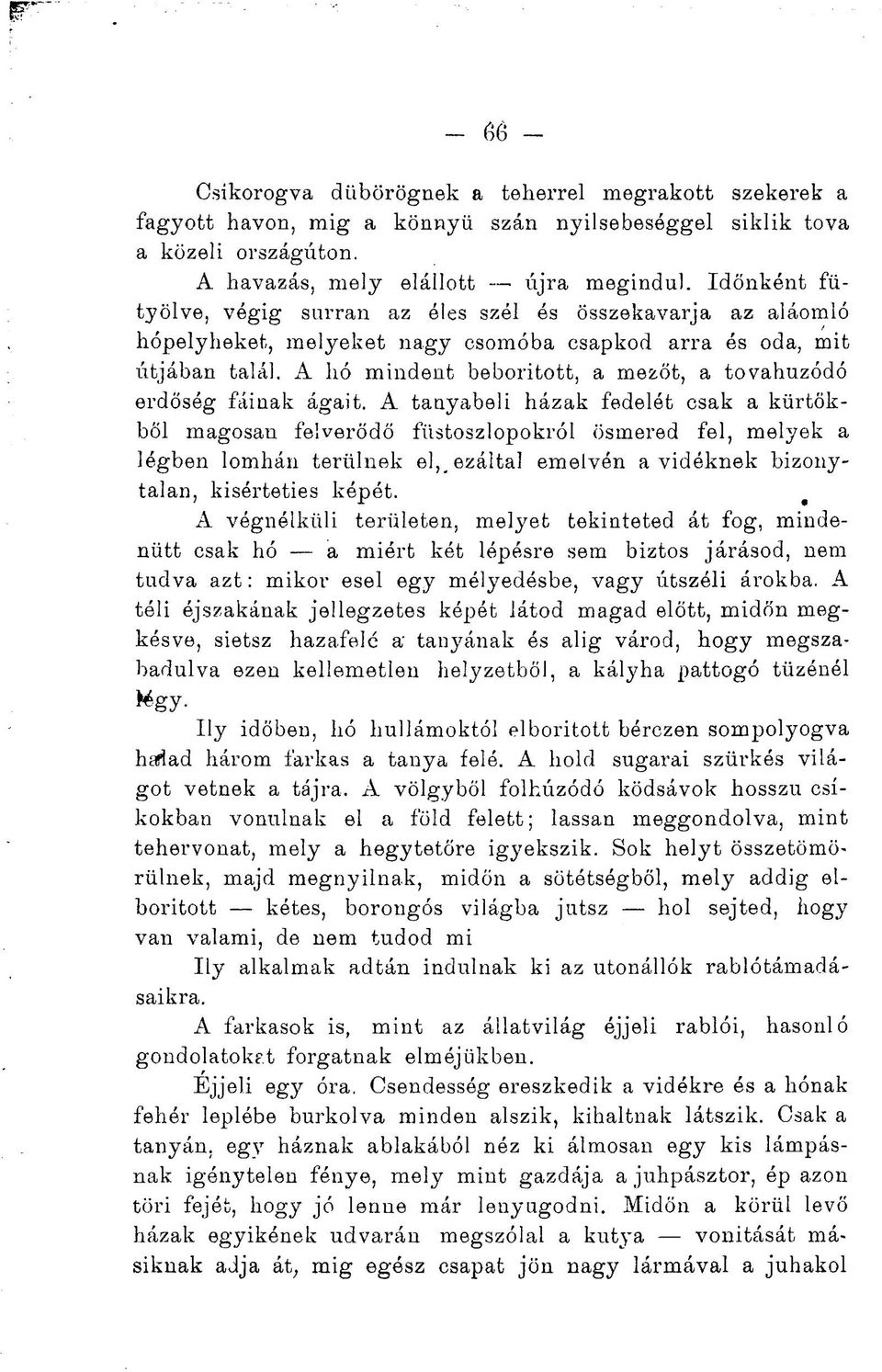 A hó mindent beborított, a mezőt, a tovahuzódó erdőség fáinak ágait.