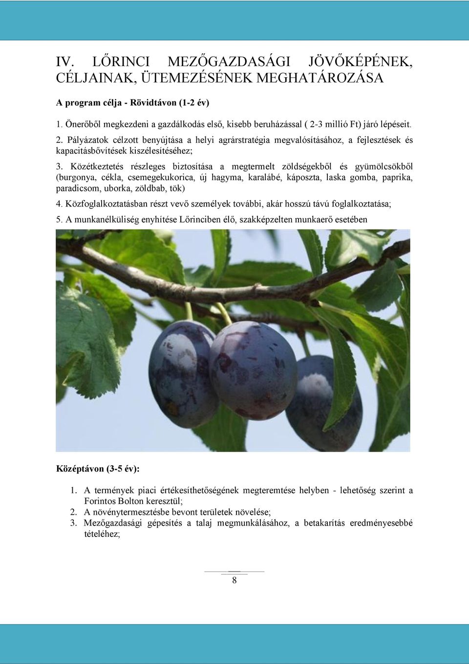 Közétkeztetés részleges biztosítása a megtermelt zöldségekből és gyümölcsökből (burgonya, cékla, csemegekukorica, új hagyma, karalábé, káposzta, laska gomba, paprika, paradicsom, uborka, zöldbab,