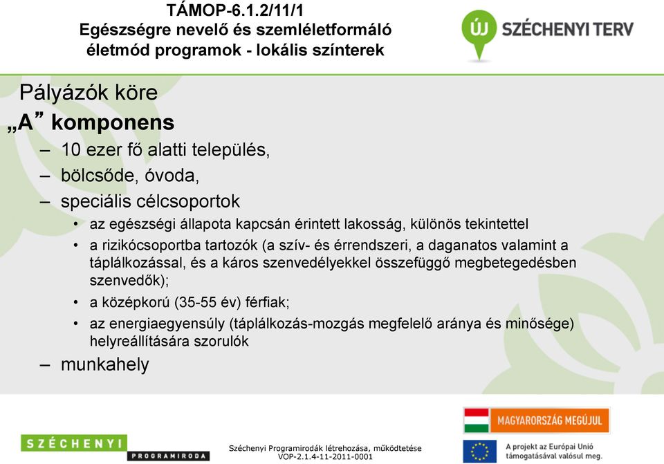 speciális célcsoportok az egészségi állapota kapcsán érintett lakosság, különös tekintettel a rizikócsoportba tartozók (a szív- és érrendszeri, a daganatos