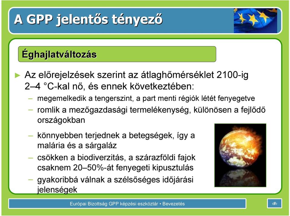 termelékenység, különösen a fejlődő országokban könnyebben terjednek a betegségek, így a malária és a sárgaláz