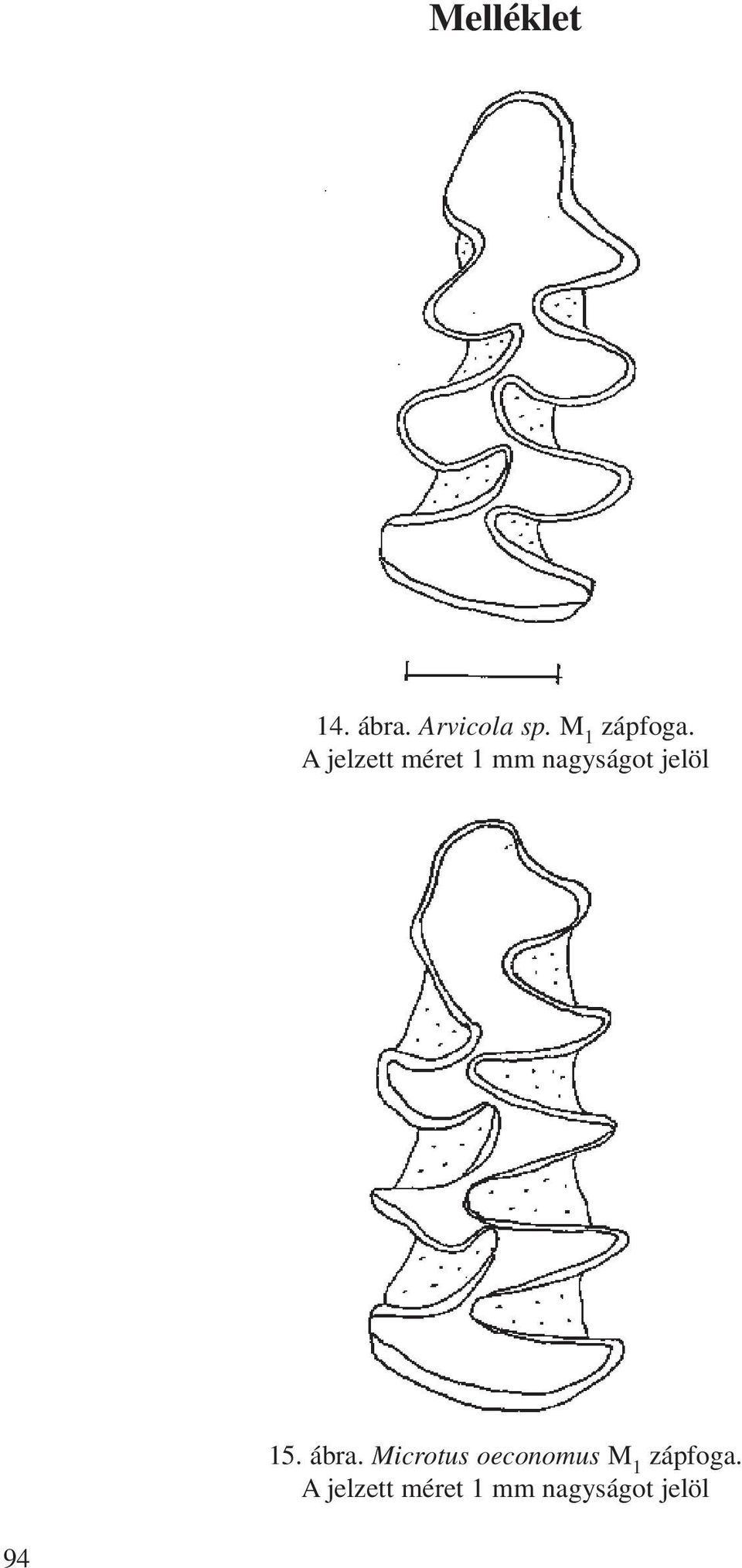 A jelzett méret 1 mm nagyságot jelöl 15.