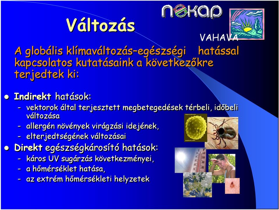 változása allergén növények virágzási idejének, elterjedtségének változásai Direkt