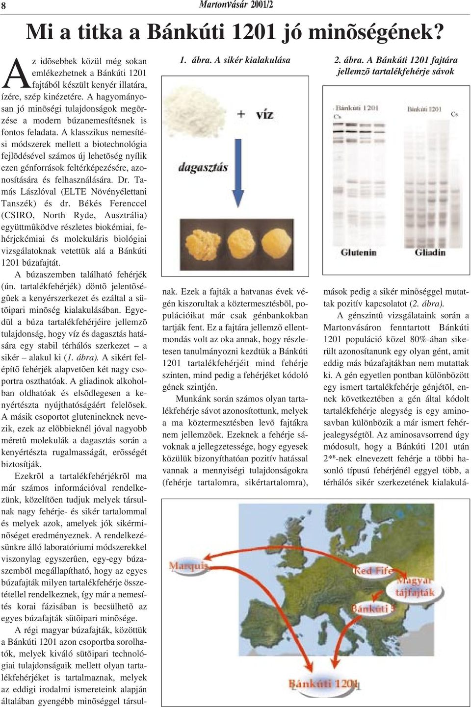 A klasszikus nemesítési módszerek mellett a biotechnológia fejlõdésével számos új lehetõség nyílik ezen génforrások feltérképezésére, azonosítására és felhasználására. Dr.