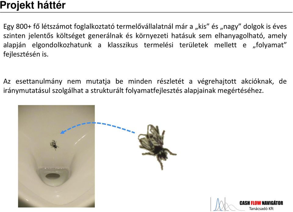 klasszikus termelési területek mellett e folyamat fejlesztésén is.