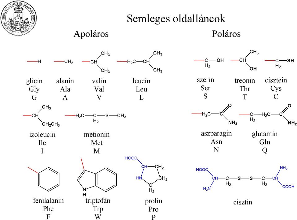 szerin Ser S 2 C C aszparagin Asn 2 C C 3 treonin Thr T C 2 C 2 cisztein Cys C 2 C glutamin