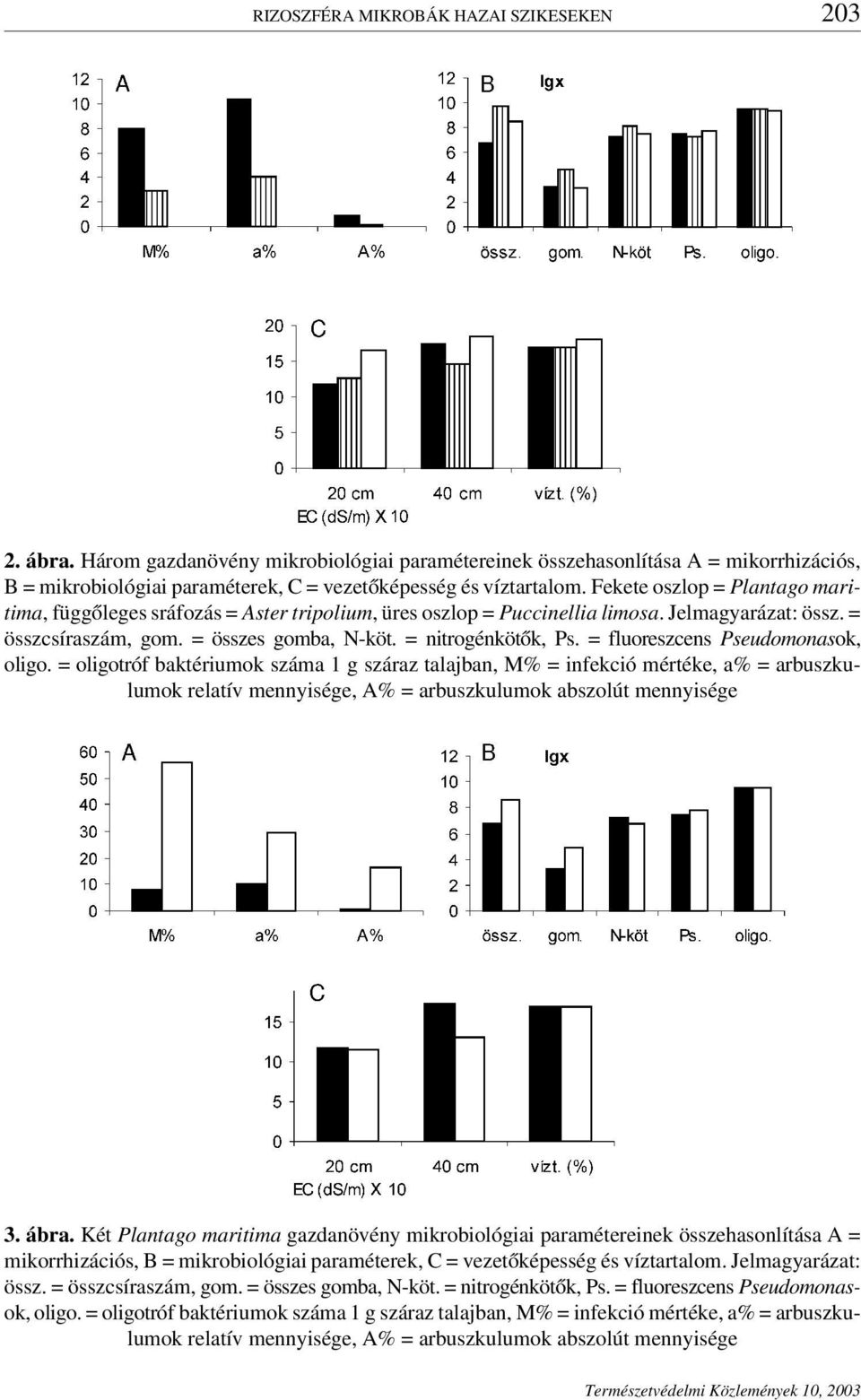 = fluoreszcens Pseudomonasok, oligo. = oligotróf baktériumok száma 1 g száraz talajban,m% = infekció mértéke,a% = arbuszkulumok relatív mennyisége, A% = arbuszkulumok abszolút mennyisége 3. ábra.