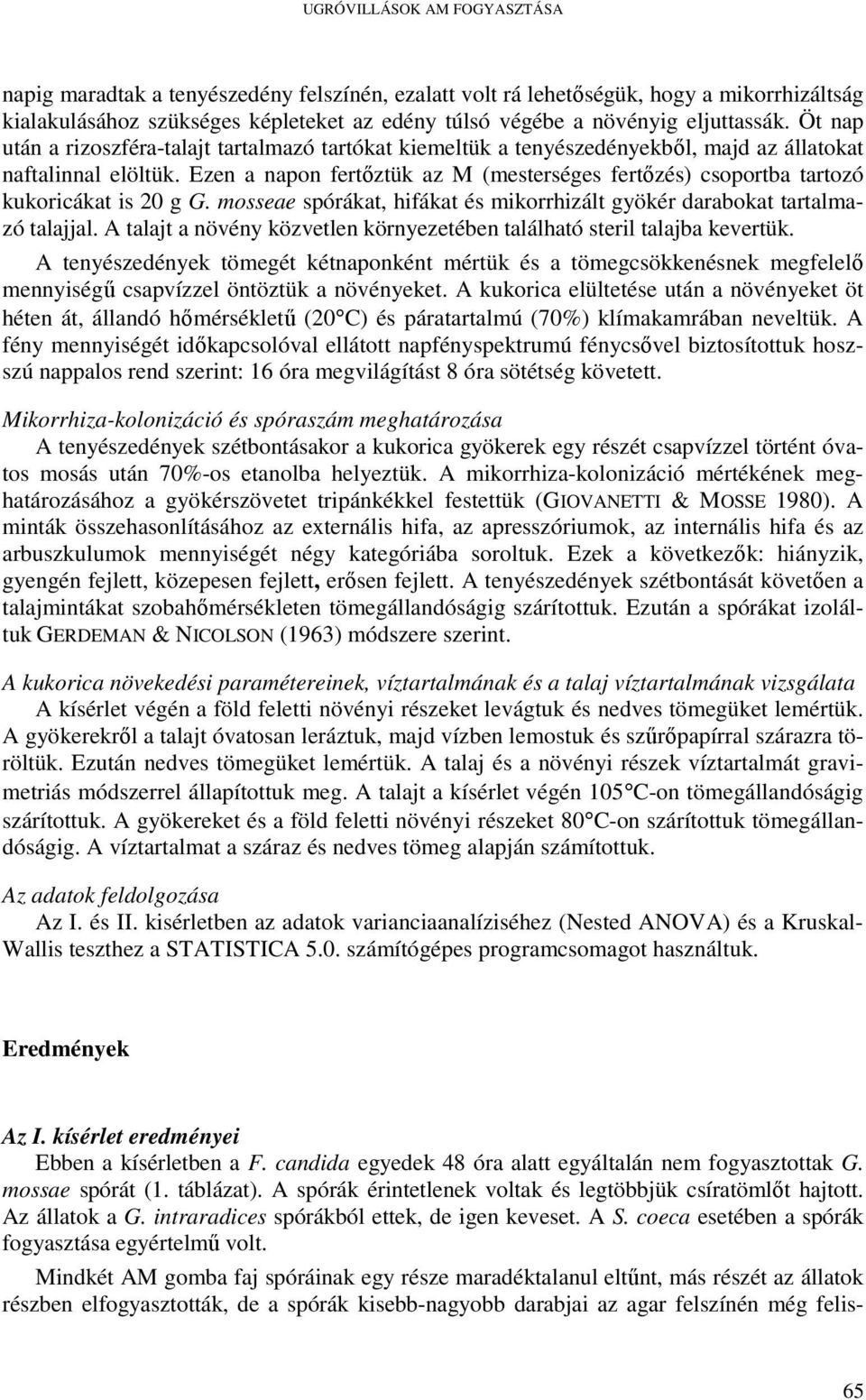 Ezen a napon fertıztük az M (mesterséges fertızés) csoportba tartozó kukoricákat is 20 g G. mosseae spórákat, hifákat és mikorrhizált gyökér darabokat tartalmazó talajjal.