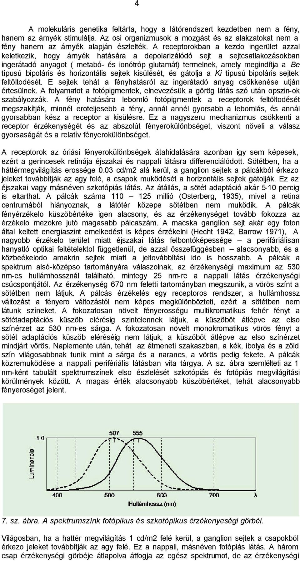 Be típusú bipoláris és horizontális sejtek kisülését, és gátolja a Ki típusú bipoláris sejtek feltöltodését. E sejtek tehát a fényhatásról az ingerátadó anyag csökkenése utján értesülnek.