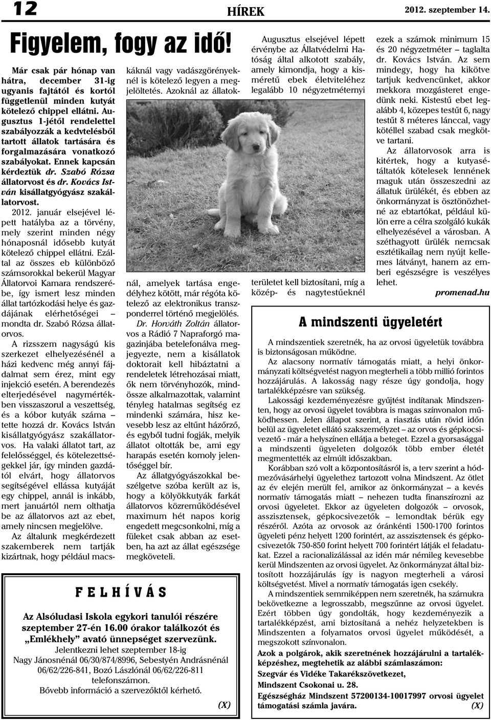 Kovács István kisállatgyógyász szakállatorvost. 2012. január elsejével lépett hatályba az a törvény, mely szerint minden négy hónaposnál idõsebb kutyát kötelezõ chippel ellátni.