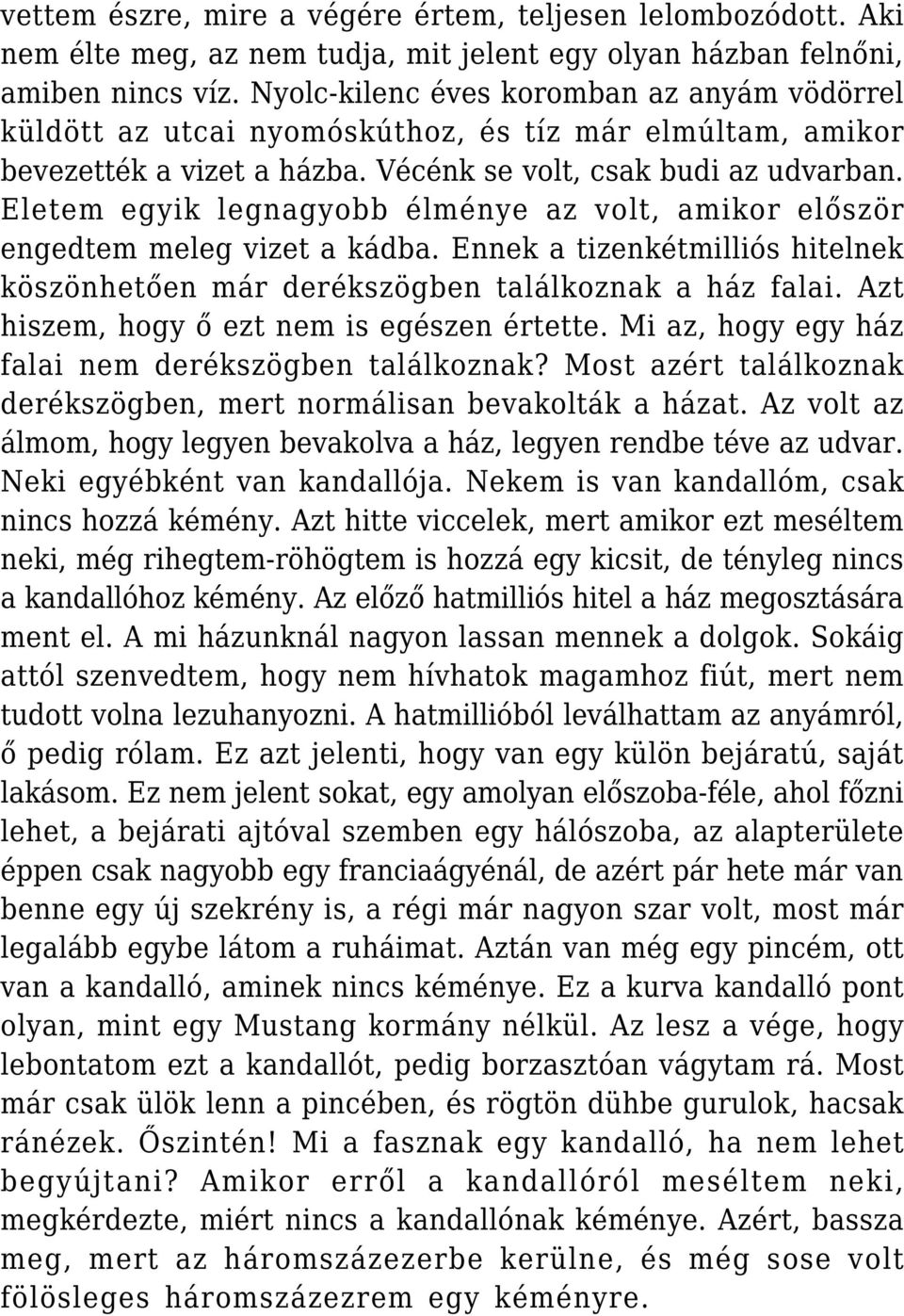 Eletem egyik legnagyobb élménye az volt, amikor először engedtem meleg vizet a kádba. Ennek a tizenkétmilliós hitelnek köszönhetően már derékszögben találkoznak a ház falai.