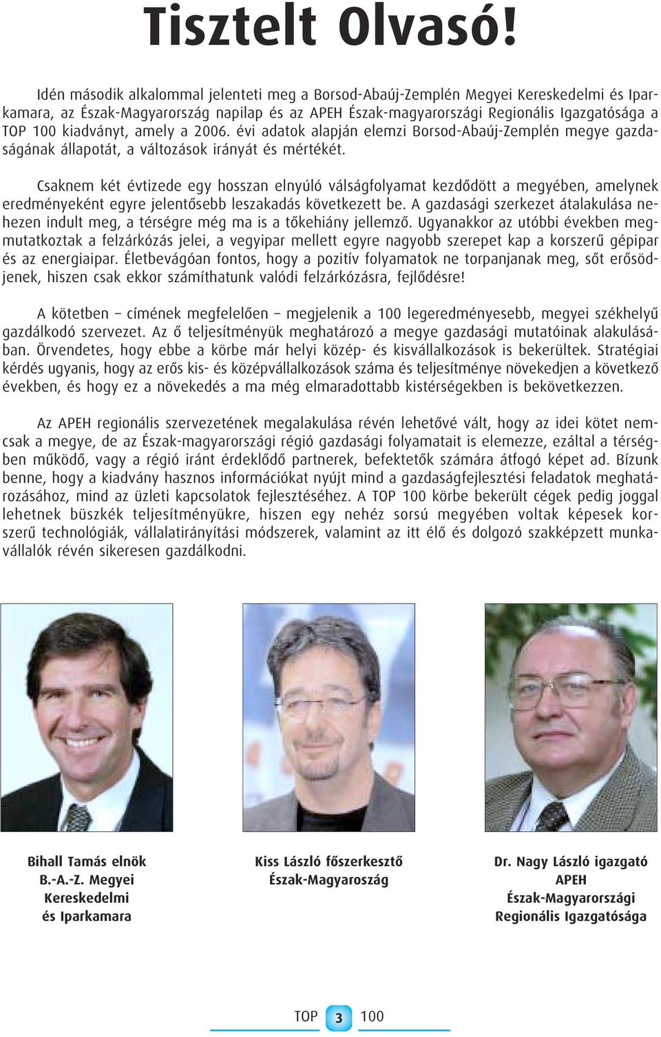 kiadványt, amely a 2006. évi adatok alapján elemzi Borsod-Abaúj-Zemplén megye gazdaságának állapotát, a változások irányát és mértékét.