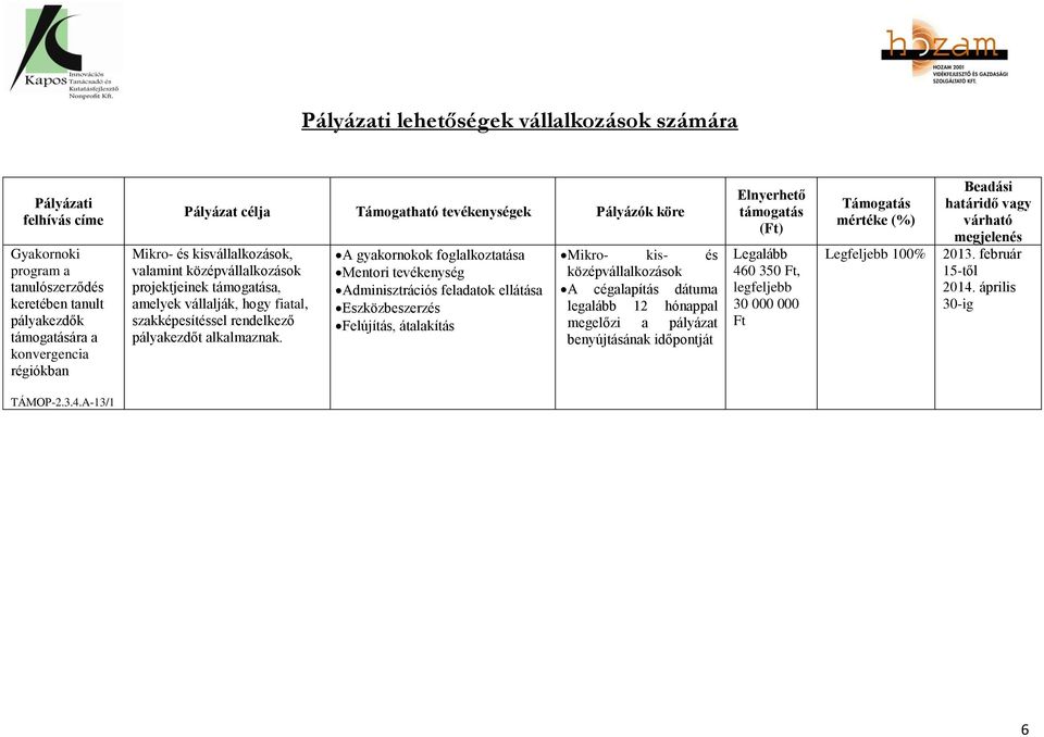 A gyakornokok foglalkoztatása Mentori tevékenység Adminisztrációs feladatok ellátása Eszközbeszerzés Felújítás, átalakítás Mikro- kis- és középvállalkozások A cégalapítás dátuma legalább 12 hónappal