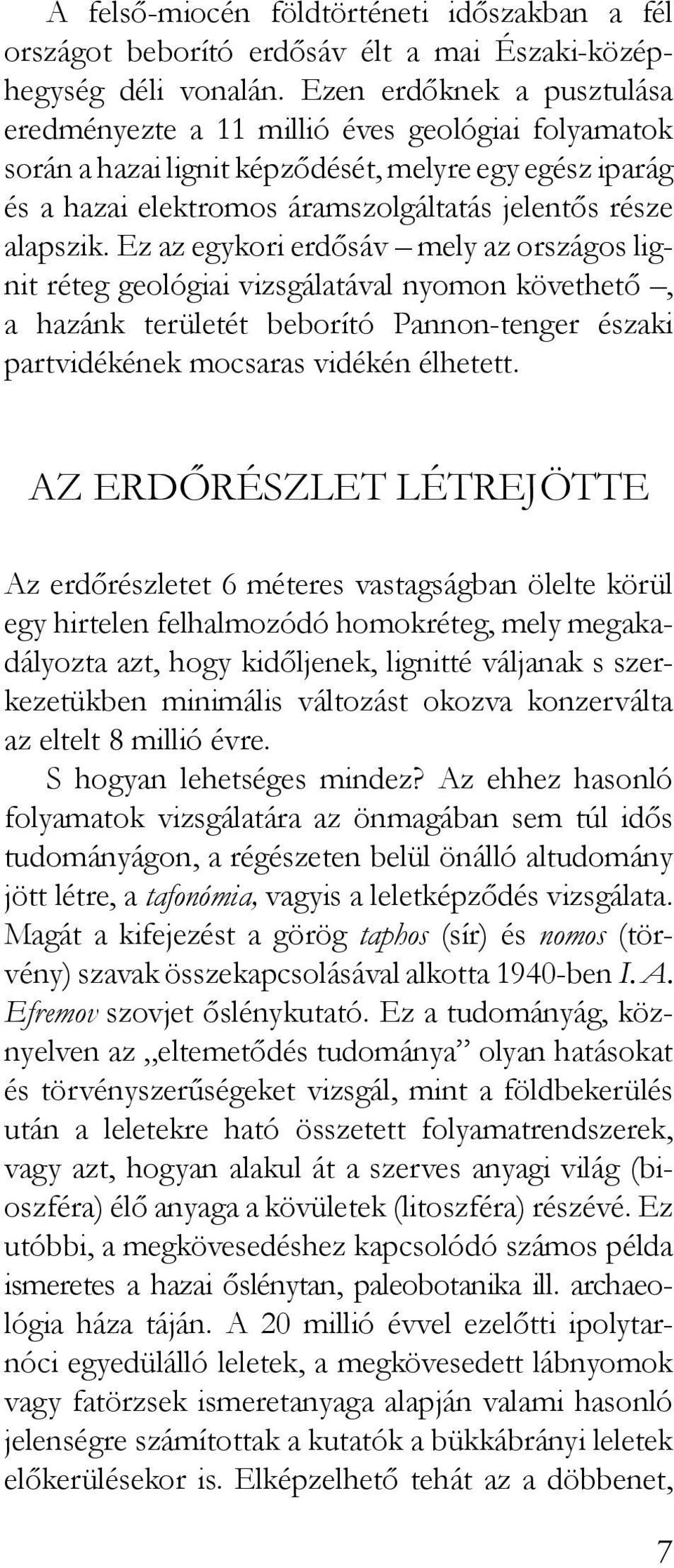 Ez az egykori erdősáv mely az országos lignit réteg geológiai vizsgálatával nyomon követhető, a hazánk területét beborító Pannon-tenger északi partvidékének mocsaras vidékén élhetett.