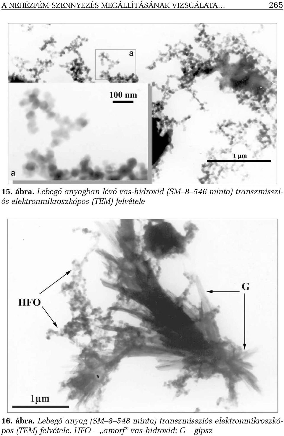elektronmikroszkópos (TEM) felvétele 16. ábra.