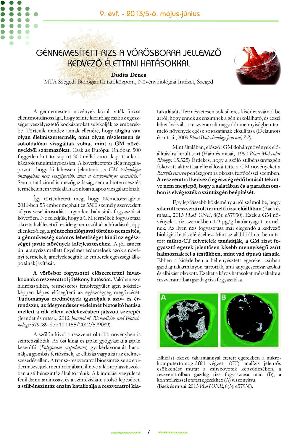 A transz-reszveratrol bioszintézise az epidermiszsejtek membránjában, illetve a kloroplasztiszokban a stilbénszintáz által történik.