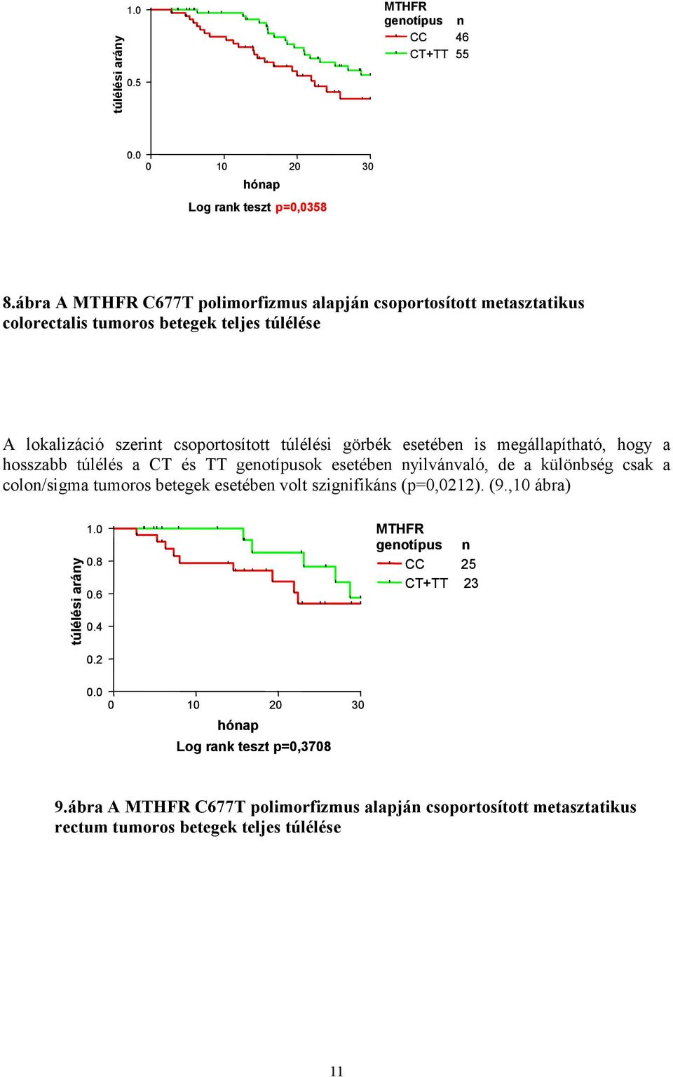 esetében is megállapítható, hogy a hosszabb túlélés a CT és TT genotípusok esetében nyilvánvaló, de a különbség csak a colon/sigma tumoros betegek esetében volt szignifikáns