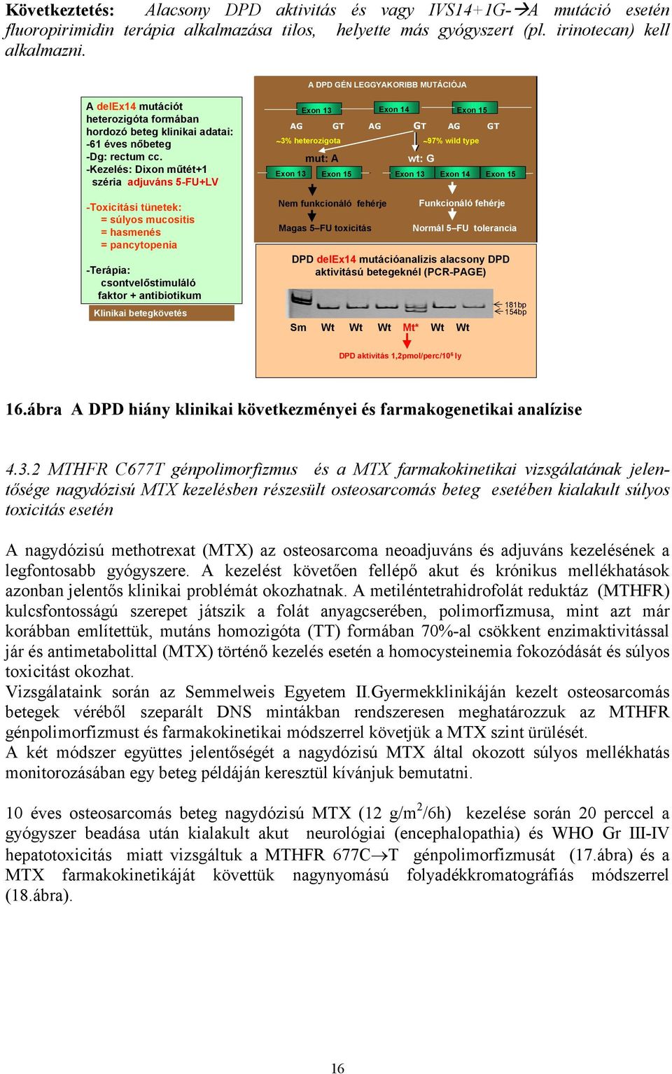 -Kezelés: Dixon műtét+1 széria adjuváns 5-FU+LV -Toxicitási tünetek: = súlyos mucositis = hasmenés = pancytopenia -Terápia: csontvelőstimuláló faktor + antibiotikum Klinikai betegkövetés Exon 13 Exon