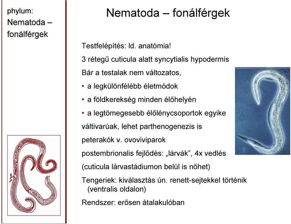 földkerekség minden élőhelyén a legtömegesebb élőlénycsoportok egyike váltivarúak, lehet parthenogenezis is