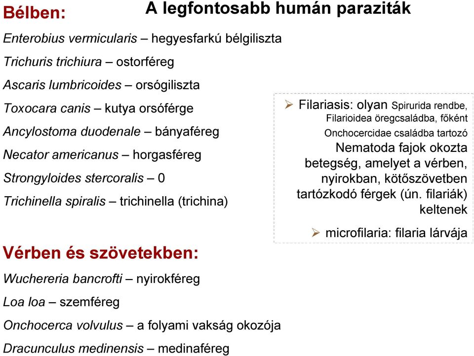 Filariasis: olyan Spirurida rendbe, Filarioidea öregcsaládba, főként Onchocercidae családba tartozó Nematoda fajok okozta betegség, amelyet a vérben, nyirokban, kötőszövetben