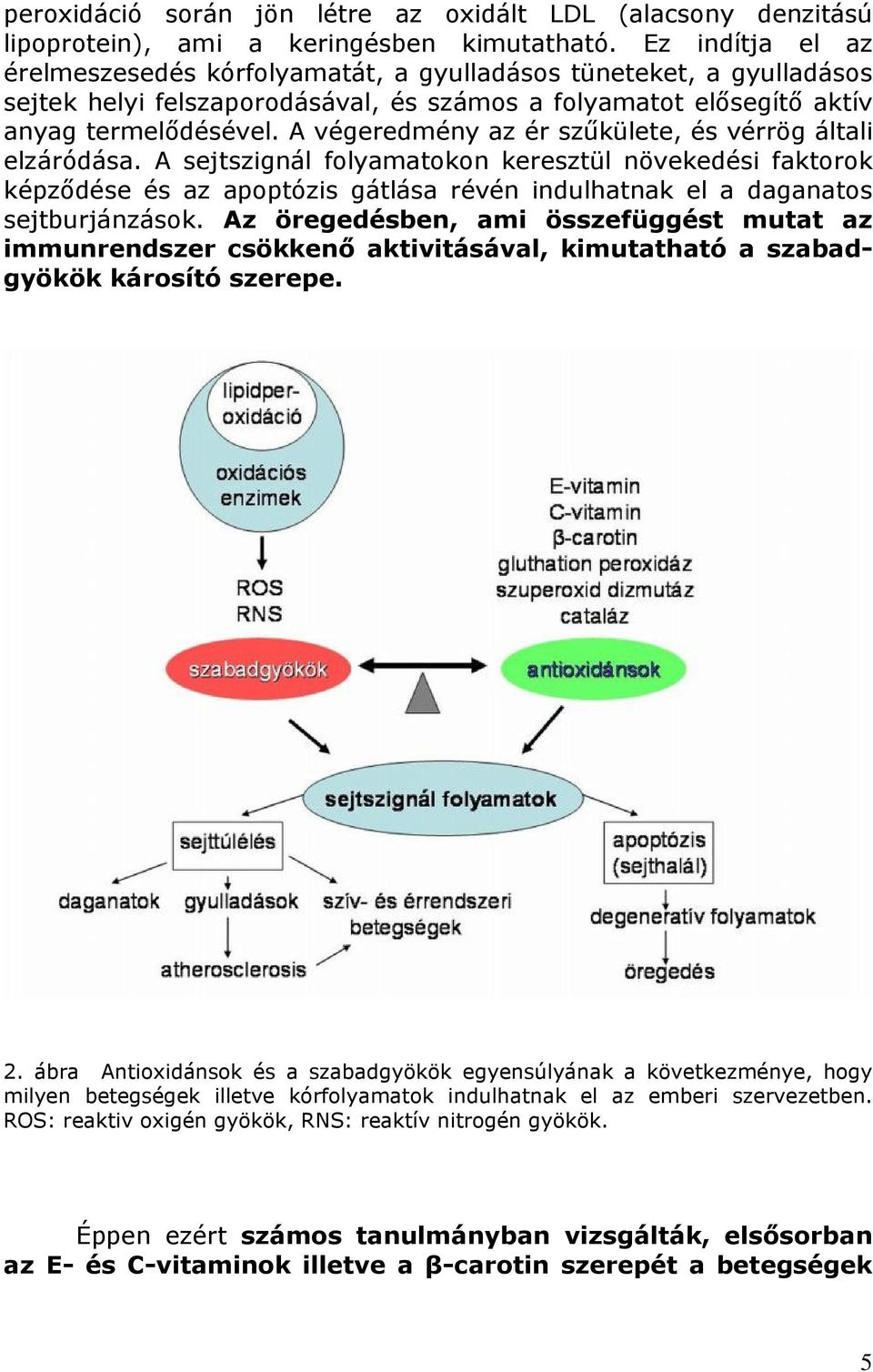 A végeredmény az ér szűkülete, és vérrög általi elzáródása. A sejtszignál folyamatokon keresztül növekedési faktorok képződése és az apoptózis gátlása révén indulhatnak el a daganatos sejtburjánzások.