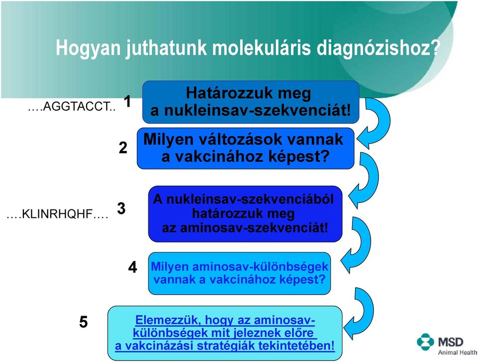 .klinrhqhf. 3 A nukleinsav-szekvenciából határozzuk meg az aminosav-szekvenciát!