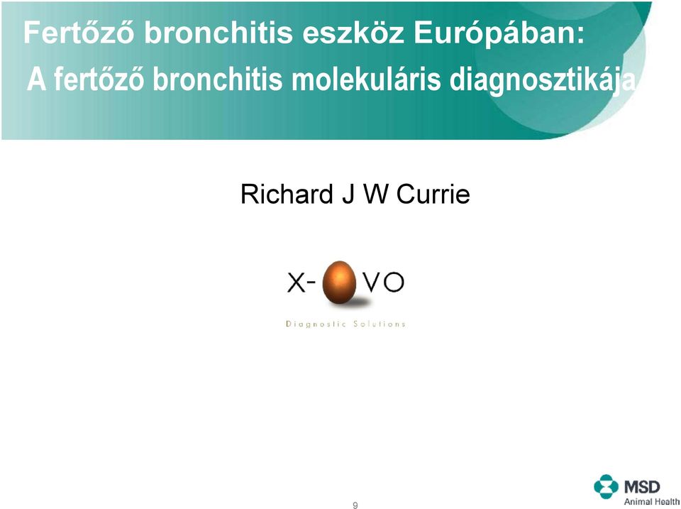 bronchitis molekuláris