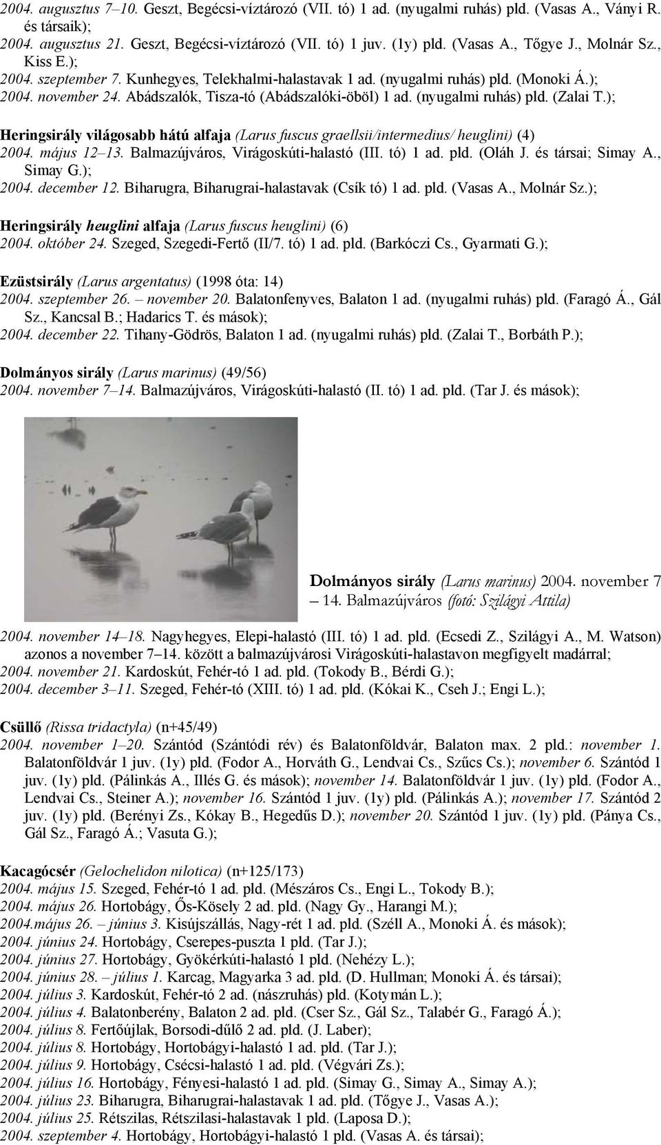 (nyugalmi ruhás) pld. (Zalai T.); Heringsirály világosabb hátú alfaja (Larus fuscus graellsii/intermedius/ heuglini) (4) 2004. május 12 13. Balmazújváros, Virágoskúti-halastó (III. tó) 1 ad. pld. (Oláh J.