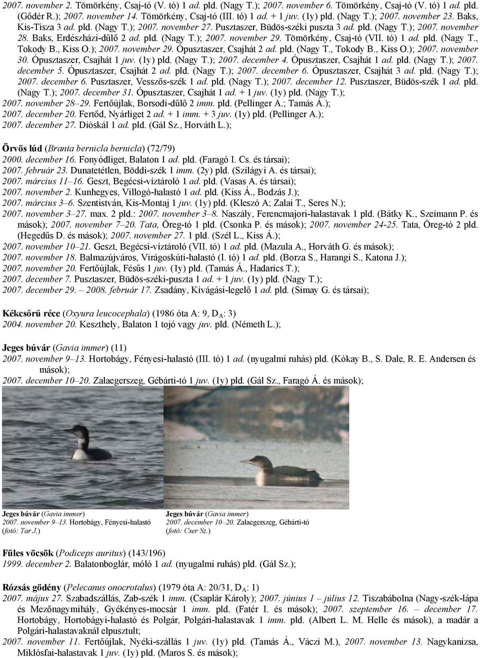 pld. (Nagy T.); 2007. november 29. Tömörkény, Csaj-tó (VII. tó) 1 ad. pld. (Nagy T., Tokody B., Kiss O.); 2007. november 29. Ópusztaszer, Csajhát 2 ad. pld. (Nagy T., Tokody B., Kiss O.); 2007. november 30.